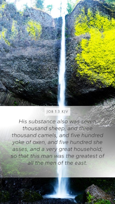 Job 1:3 KJV Bible Verse Image