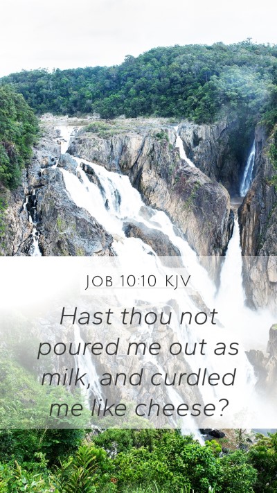 Job 10:10 KJV Bible Verse Image