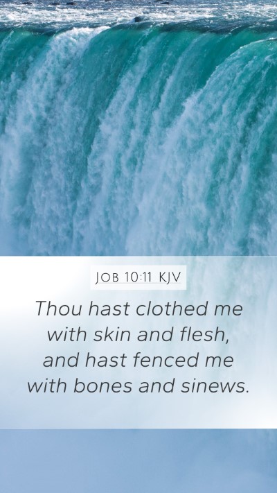 Job 10:11 KJV Mobile Phone Wallpaper - Thou hast clothed me with skin and flesh, and - Mobile Bible Verse Wallpaper