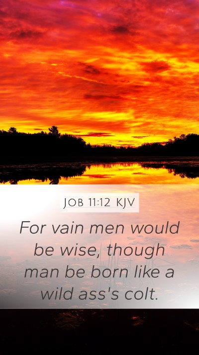 Job 11:12 KJV Bible Verse Image