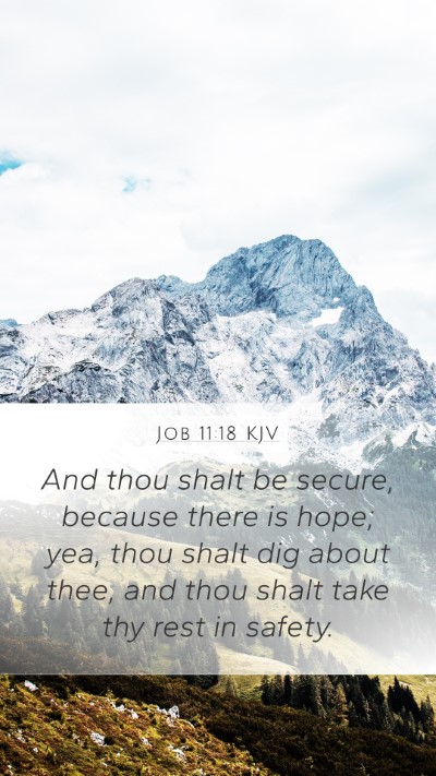 Job 11:18 KJV Bible Verse Image