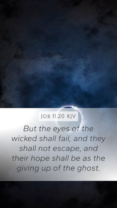 Job 11:20 KJV Bible Verse Image