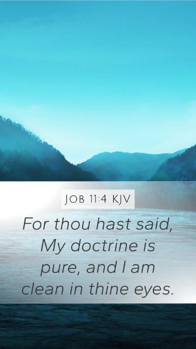 Job 11:4 KJV Bible Verse Image