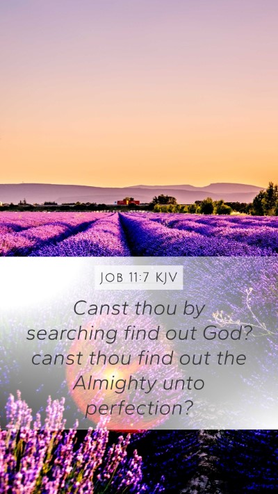 Job 11:7 KJV Bible Verse Image