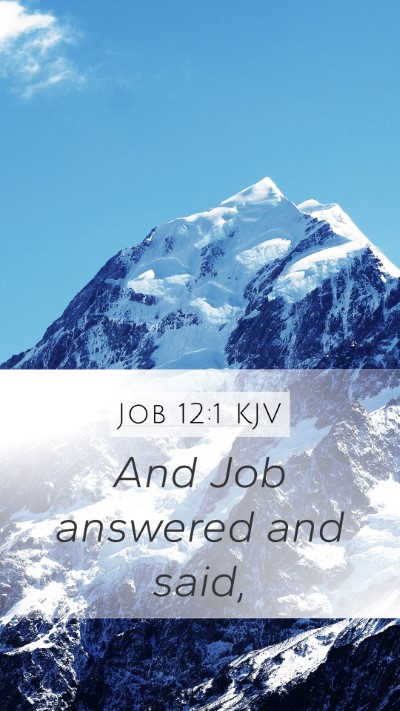 Job 12:1 KJV Mobile Phone Wallpaper - And Job answered and - Mobile Bible Verse Wallpaper