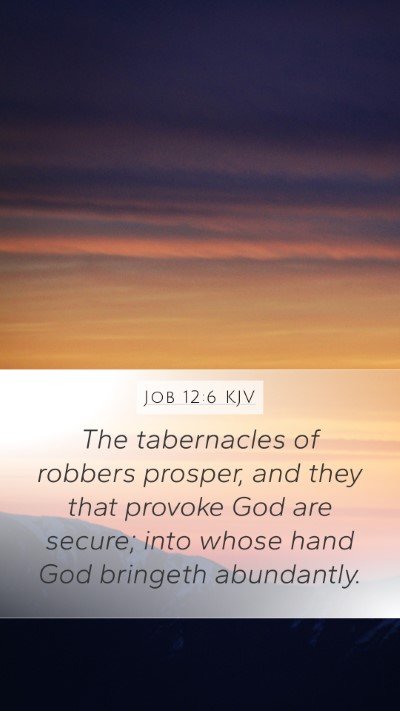 Job 12:6 KJV Bible Verse Image
