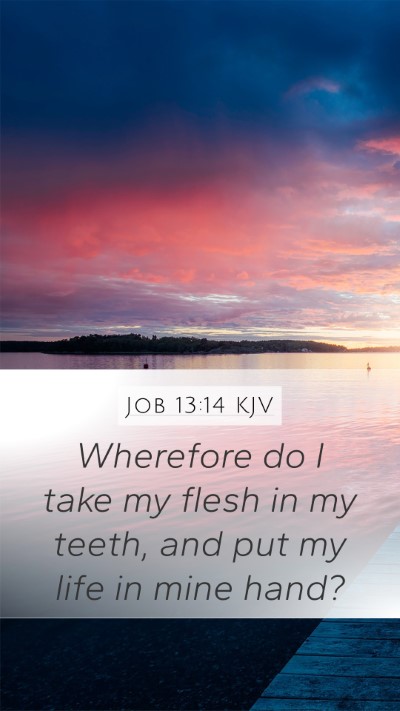 Job 13:14 KJV Bible Verse Image
