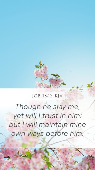 Job 13:15 KJV Bible Verse Image