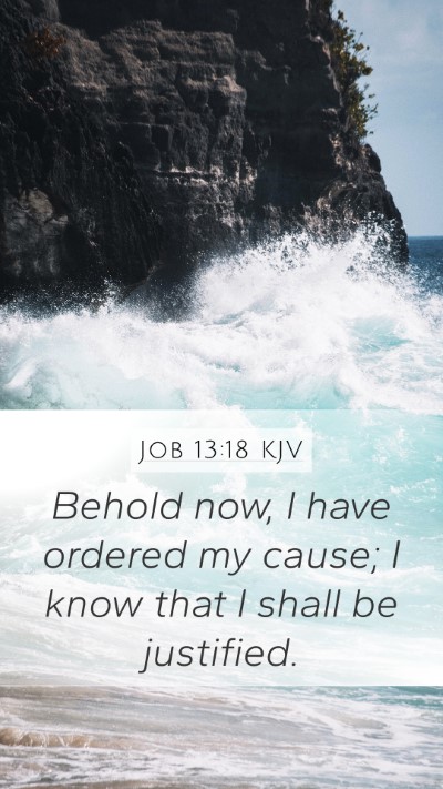 Job 13:18 KJV Bible Verse Image