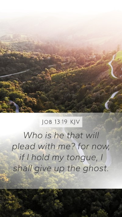 Job 13:19 KJV Bible Verse Image