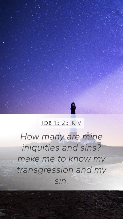 Job 13:23 KJV Bible Verse Image