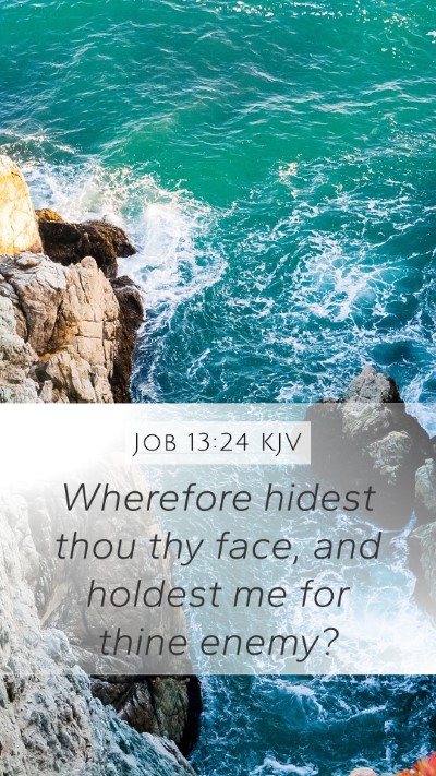 Job 13:24 KJV Bible Verse Image