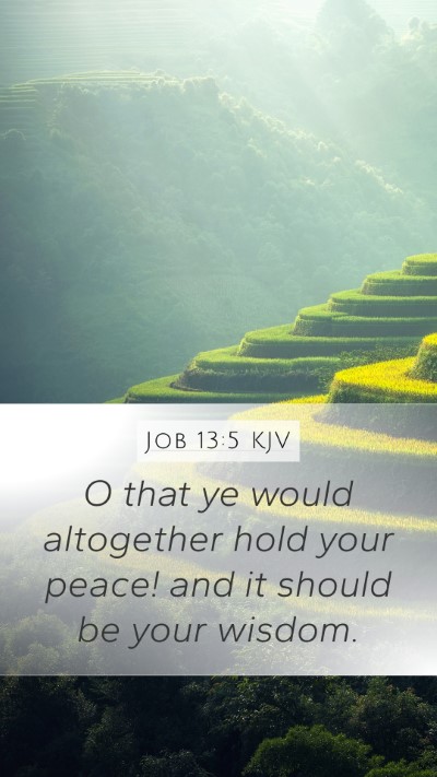 Job 13:5 KJV Bible Verse Image