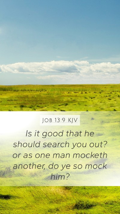 Job 13:9 KJV Bible Verse Image