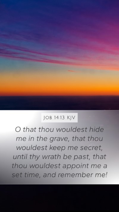 Job 14:13 KJV Bible Verse Image