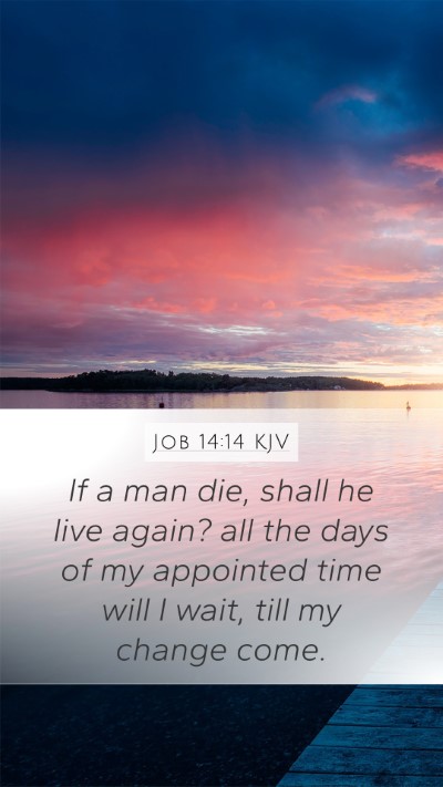 Job 14:14 KJV Bible Verse Image