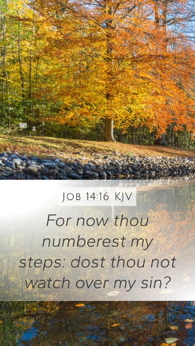 Job 14:16 KJV Bible Verse Image
