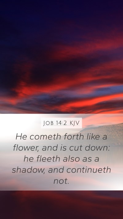 Job 14:2 KJV Bible Verse Image