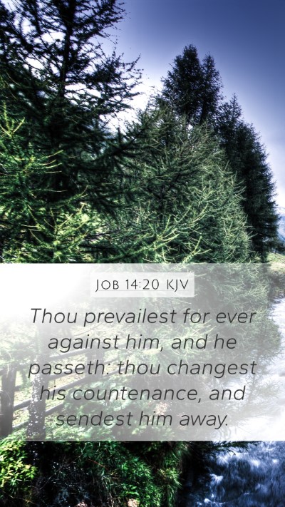 Job 14:20 KJV Mobile Phone Wallpaper - Thou prevailest for ever against him, and he - Mobile Bible Verse Wallpaper