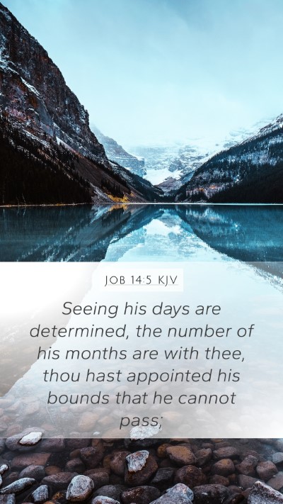 Job 14:5 KJV Bible Verse Image