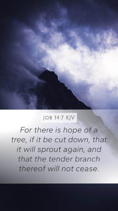 Job 14:7 KJV Bible Verse Image