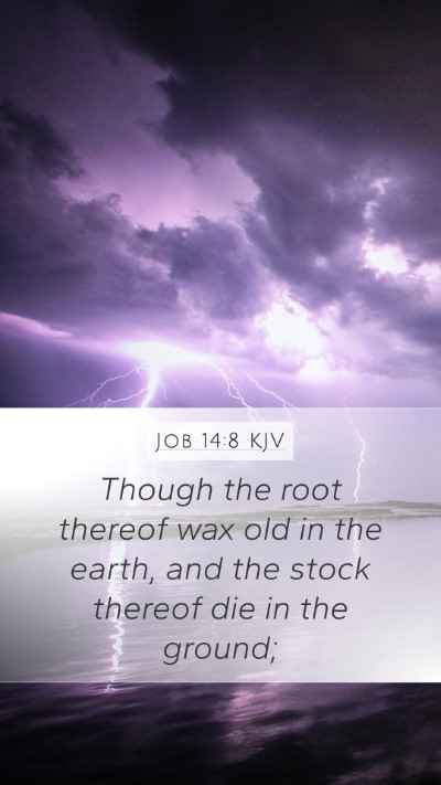 Job 14:8 KJV Mobile Phone Wallpaper - Though the root thereof wax old in the earth, and - Mobile Bible Verse Wallpaper