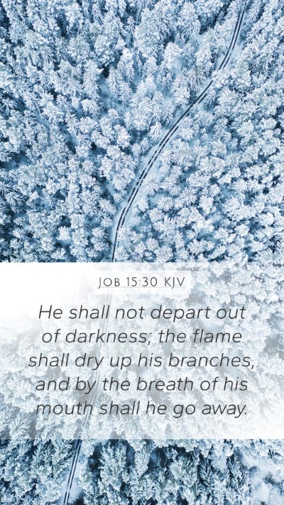 Job 15:30 KJV Bible Verse Image