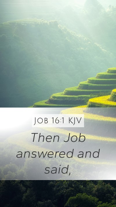 Job 16:1 KJV Mobile Phone Wallpaper - Then Job answered and - Mobile Bible Verse Wallpaper