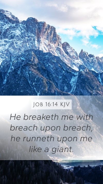 Job 16:14 KJV Bible Verse Image