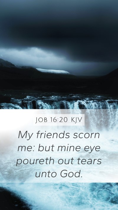 Job 16:20 KJV Bible Verse Image