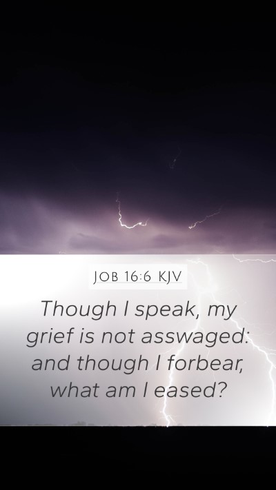 Job 16:6 KJV Bible Verse Image