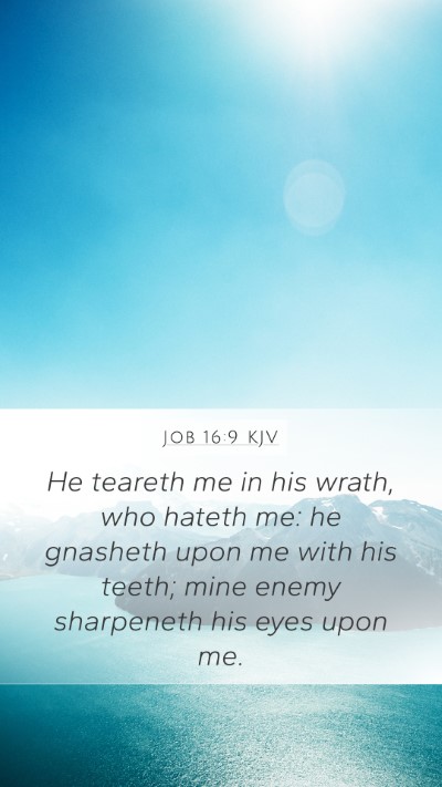 Job 16:9 KJV Bible Verse Image