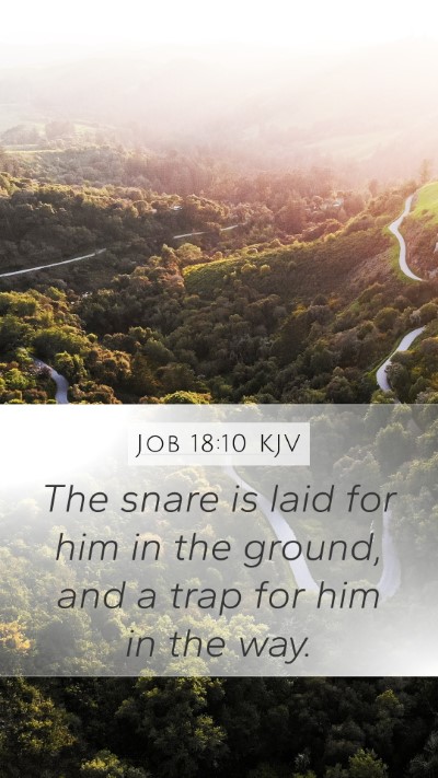 Job 18:10 KJV Mobile Phone Wallpaper - The snare is laid for him in the ground, and a - Mobile Bible Verse Wallpaper