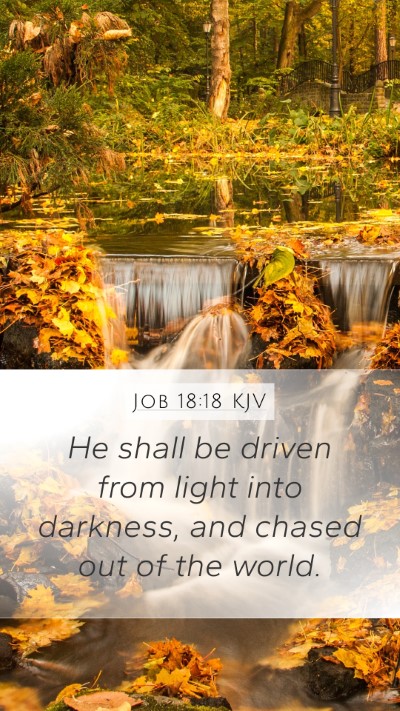 Job 18:18 KJV Bible Verse Image