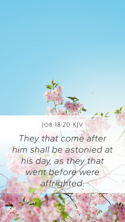Job 18:20 KJV Mobile Phone Wallpaper - They that come after him shall be astonied at his - Mobile Bible Verse Wallpaper