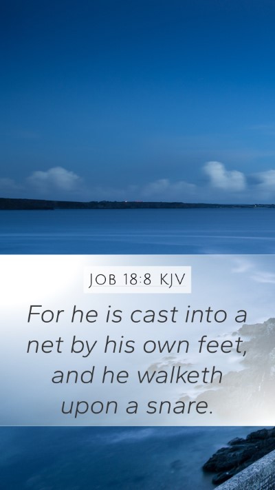 Job 18:8 KJV Bible Verse Image