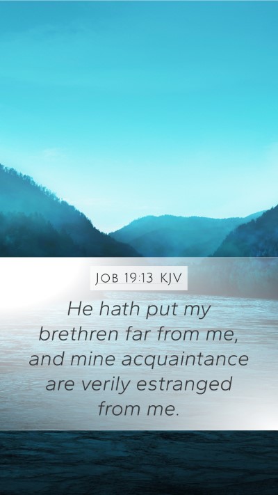 Job 19:13 KJV Bible Verse Image
