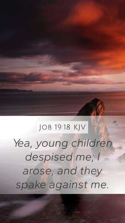 Job 19:18 KJV Bible Verse Image
