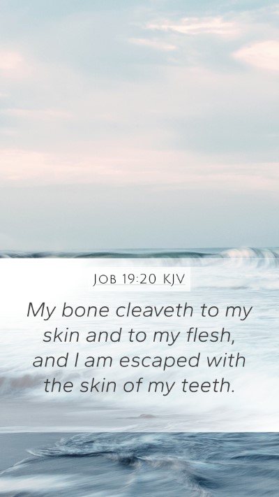 Job 19:20 KJV Bible Verse Image