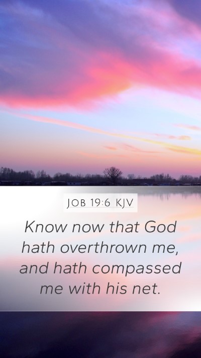 Job 19:6 KJV Bible Verse Image