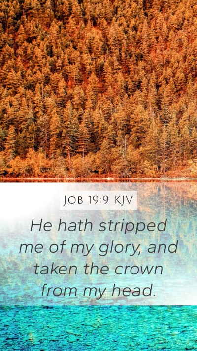 Job 19:9 KJV Bible Verse Image
