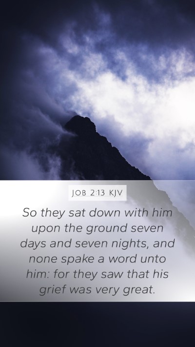 Job 2:13 KJV Bible Verse Image