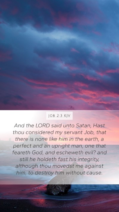 Job 2:3 KJV Bible Verse Image
