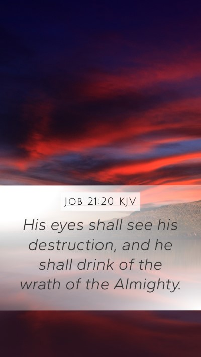 Job 21:20 KJV Bible Verse Image