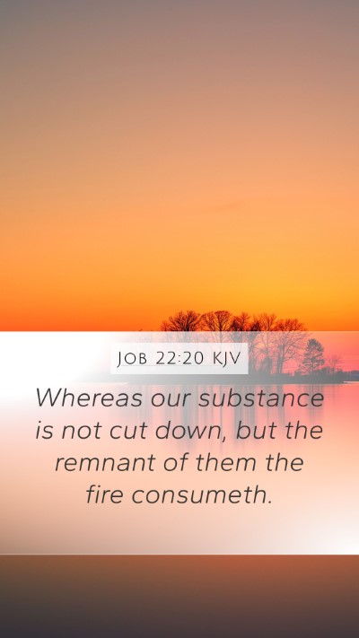 Job 22:20 KJV Mobile Phone Wallpaper - Whereas our substance is not cut down, but the - Mobile Bible Verse Wallpaper
