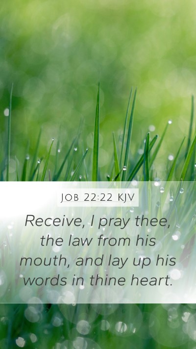 Job 22:22 KJV Bible Verse Image