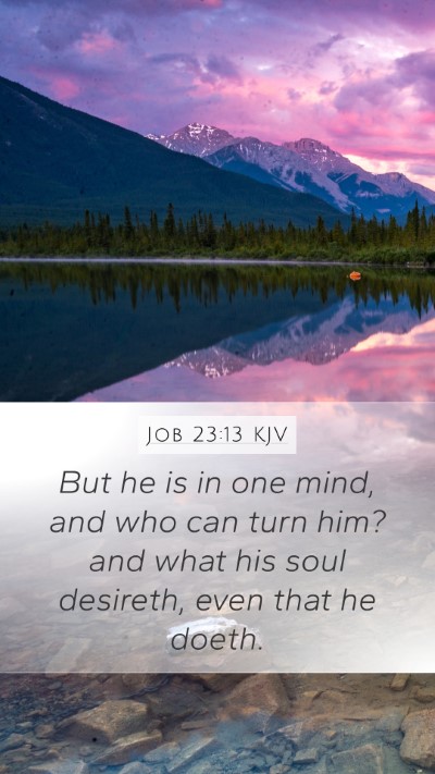 Job 23:13 KJV Bible Verse Image