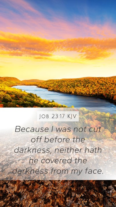 Job 23:17 KJV Bible Verse Image