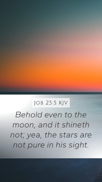 Job 25:5 KJV Bible Verse Image