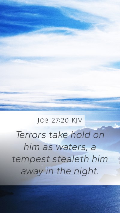 Job 27:20 KJV Bible Verse Image